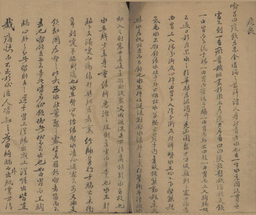 _薛氏活人宝筏不分卷__