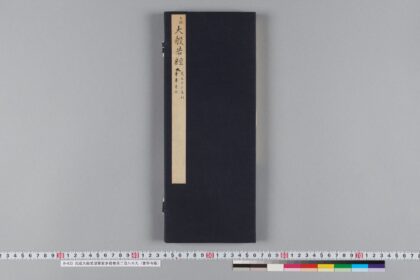 元版大般若波羅蜜多経巻第二百八十九（普寧寺版） 1.jpg