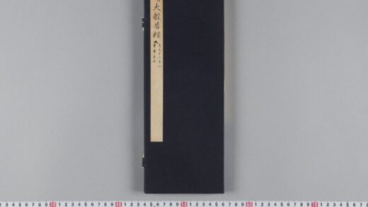 元版大般若波羅蜜多経巻第二百八十九（普寧寺版） 1.jpg