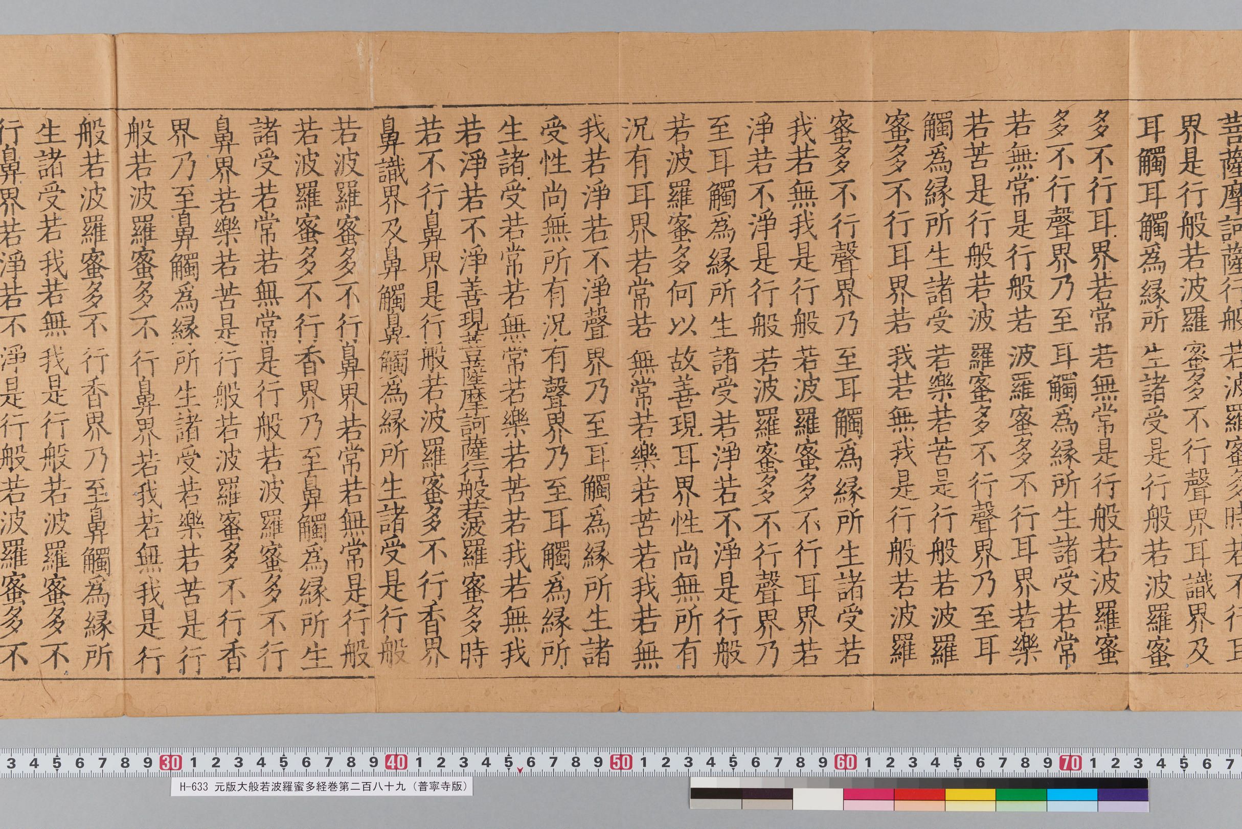 元版大般若波羅蜜多経巻第二百八十九（普寧寺版）-