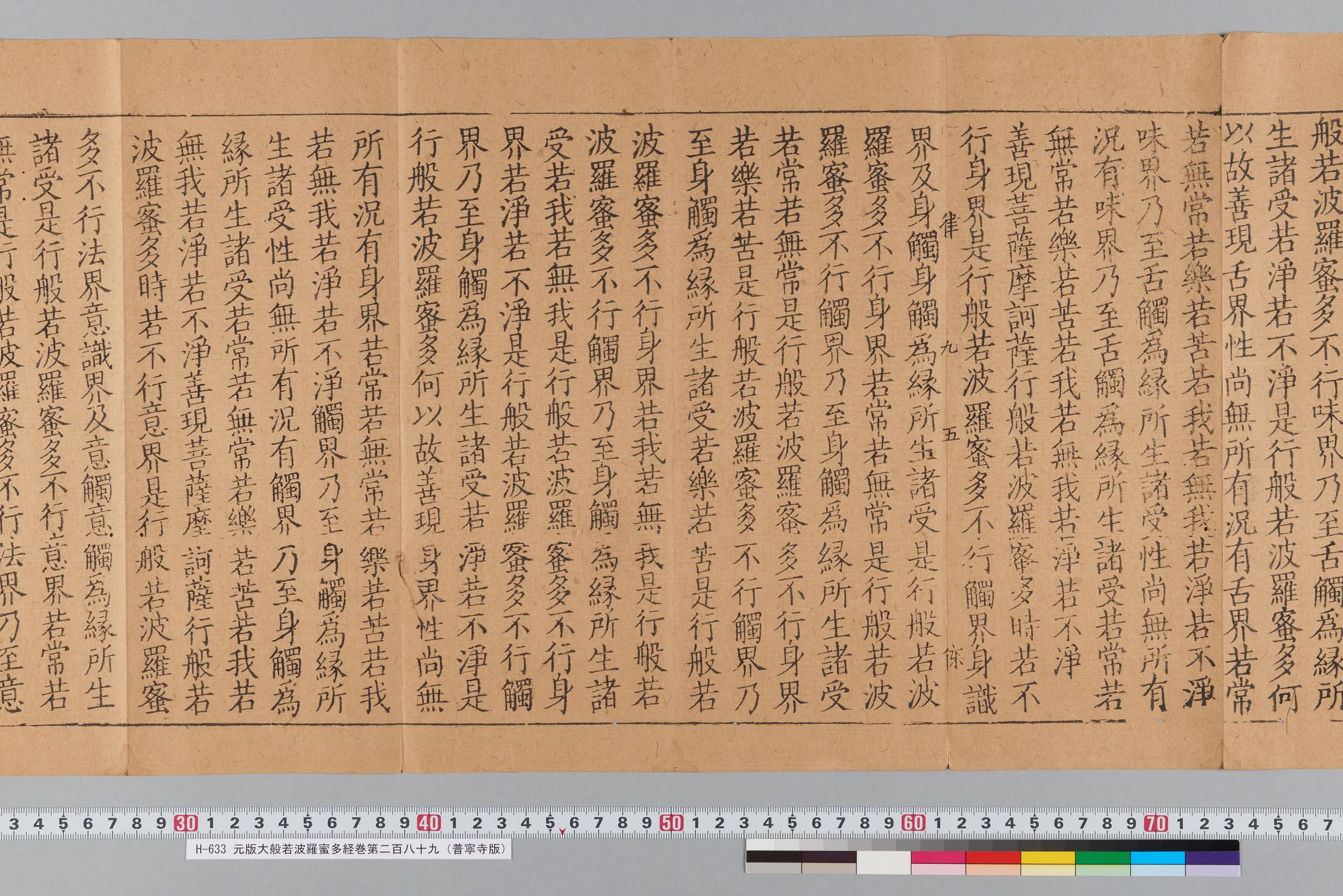 元版大般若波羅蜜多経巻第二百八十九（普寧寺版）-