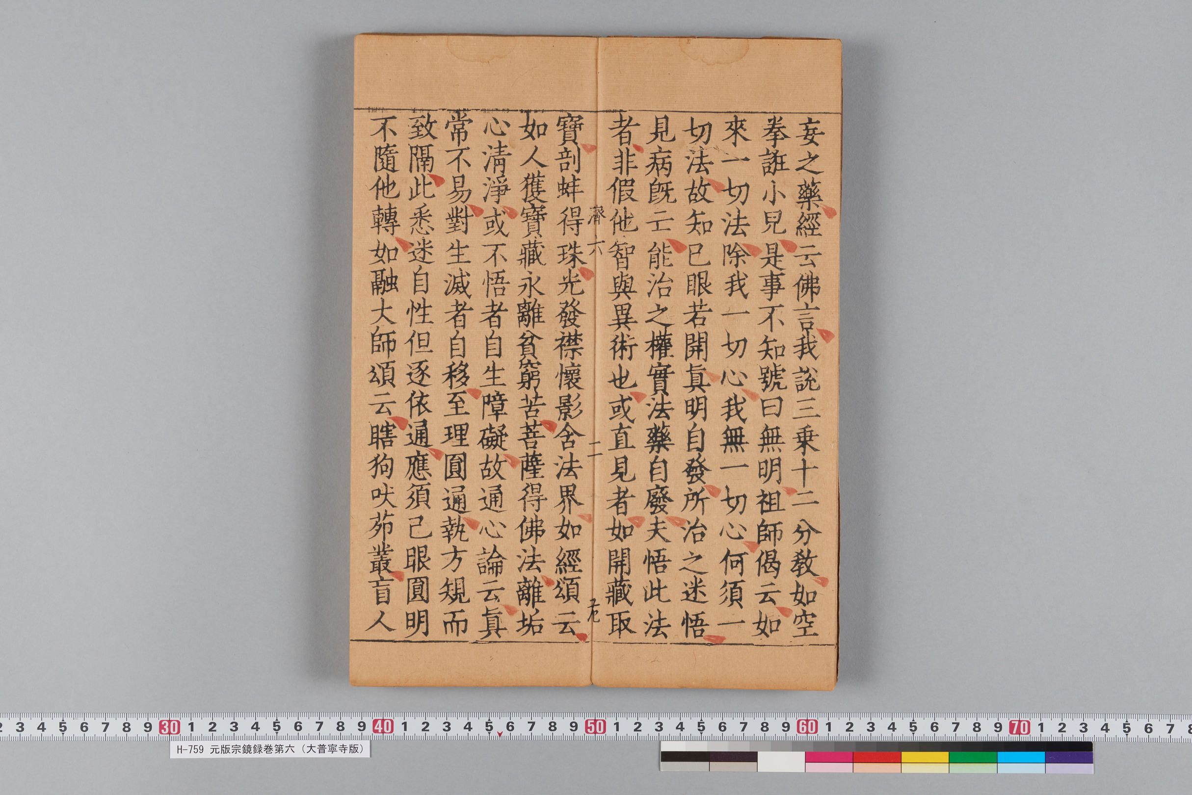 元版宗鏡録巻第六（大普寧寺版）-