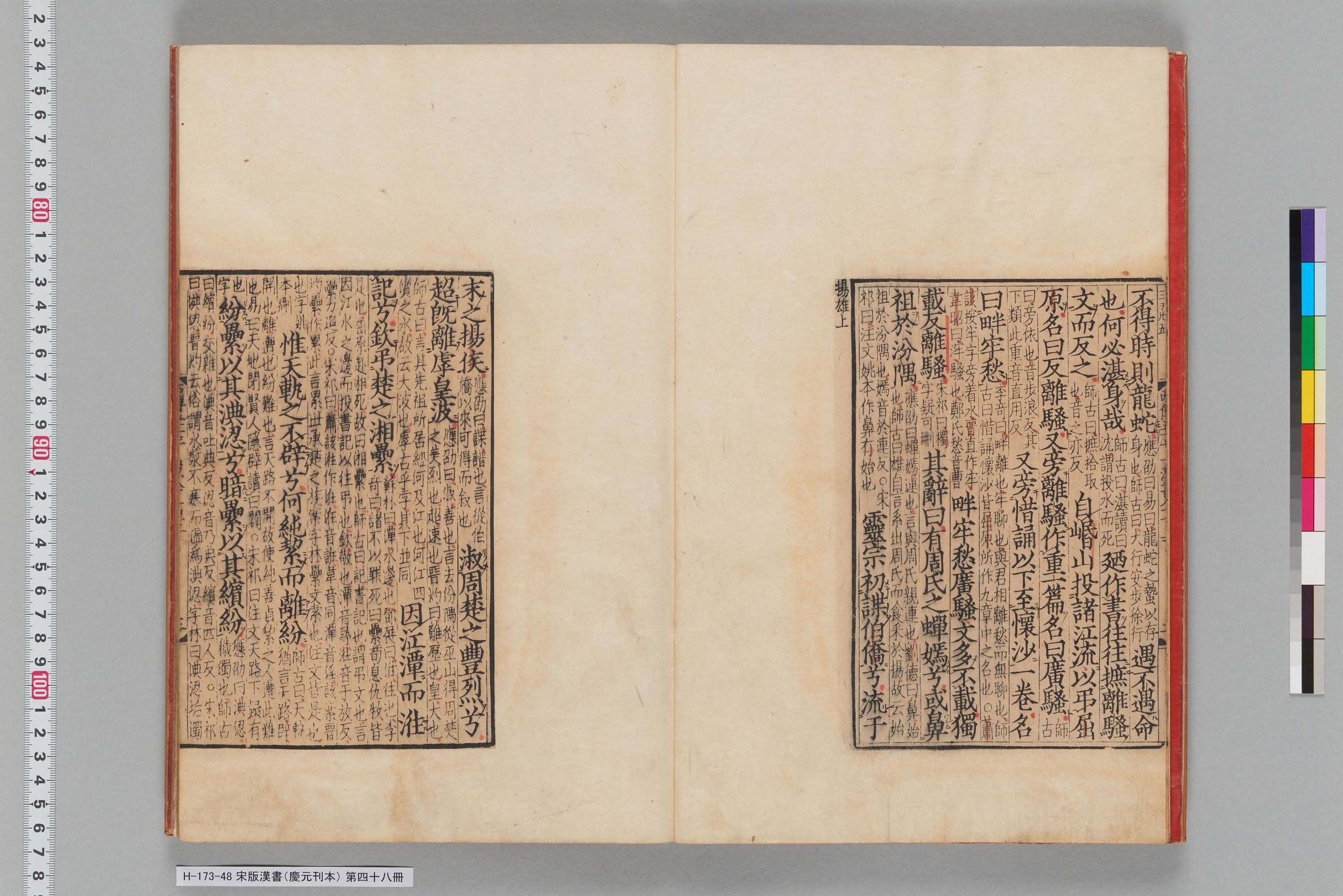 宋版漢書（慶元刊本）_第四十八冊-