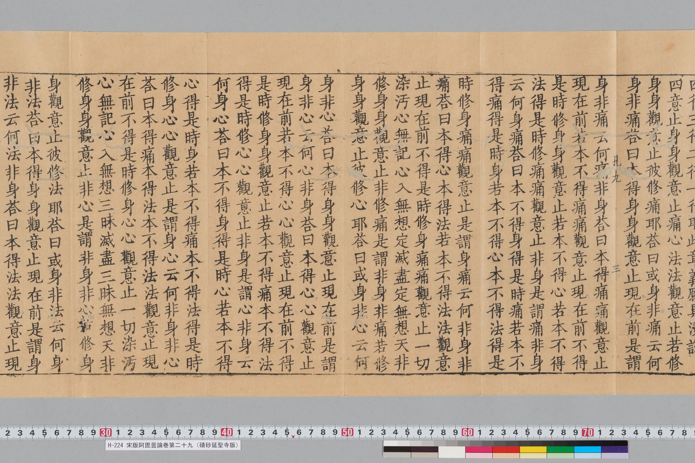 宋版阿毘曇論巻第二十九（磧砂延聖寺版）-