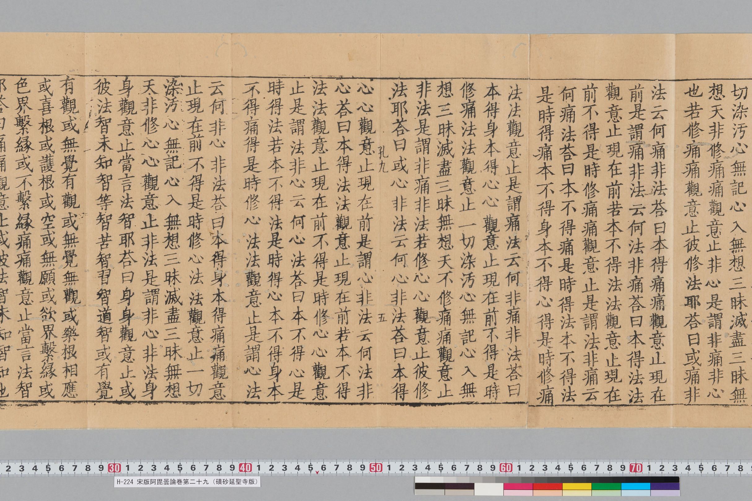 宋版阿毘曇論巻第二十九（磧砂延聖寺版）-