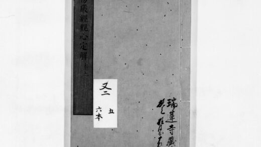 0013 首楞严观心定解11 0405155816 1.jpg