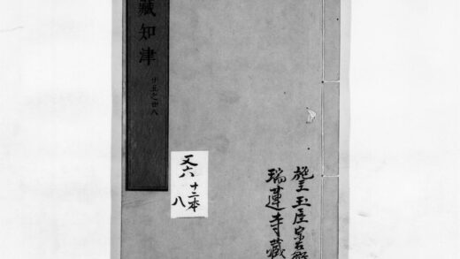 0043 阅藏知津8 0405160131 1.jpg