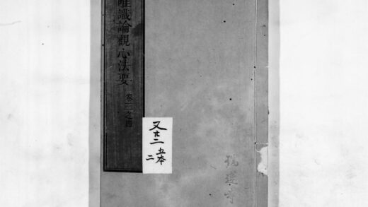 0138 成唯识论观心法要2 0405160958 1.jpg