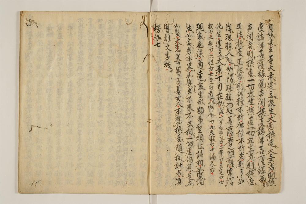 _碧岩胡__