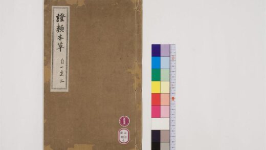 0482 重修政和经史证类备用本草30卷1 0405162831 1.jpg