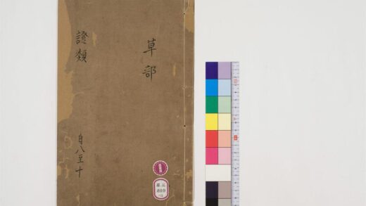 0484 重修政和经史证类备用本草30卷3 0405162838 1.jpg