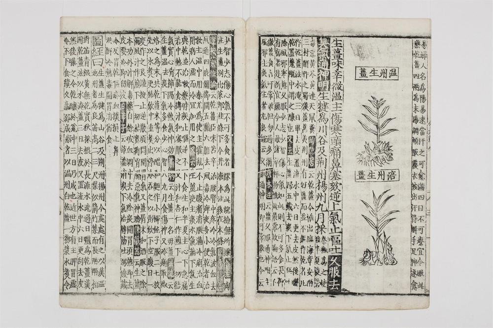 _重修政和经史证类备用本草卷[]__