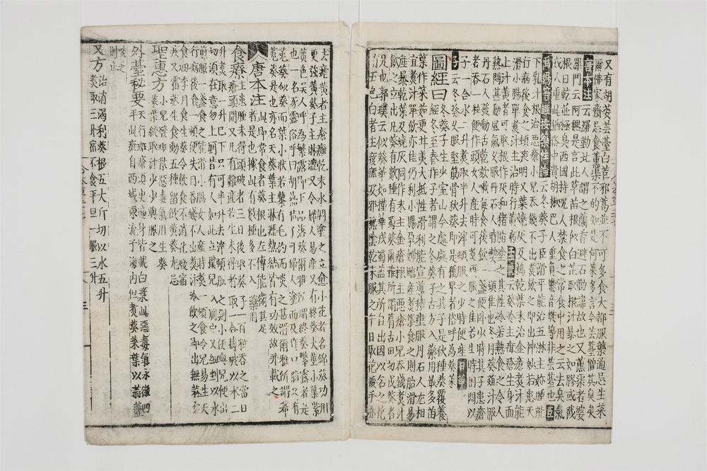 _重修政和经史证类备用本草卷[]__
