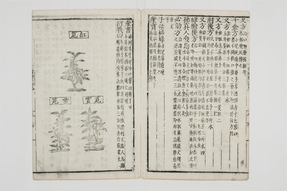 _重修政和经史证类备用本草卷[]__