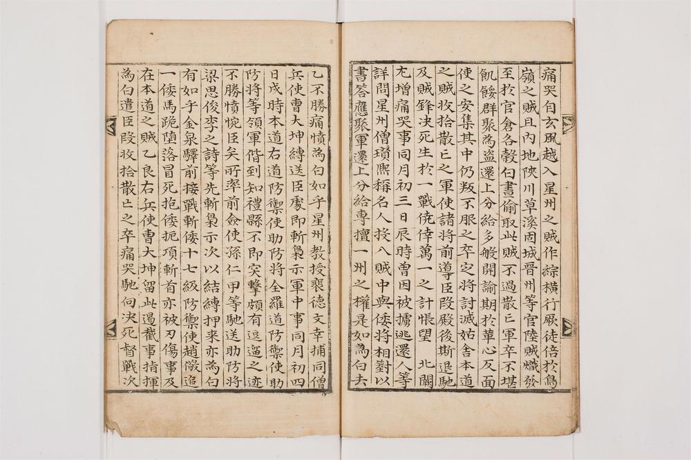 _龙蛇日录__