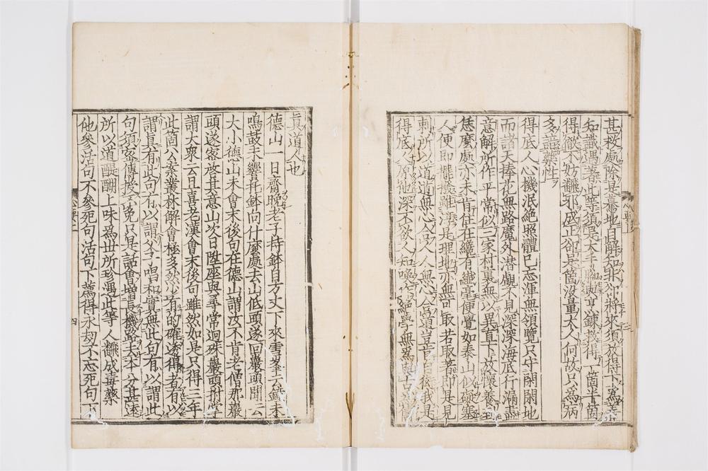 _佛果圜悟真觉禅师心要卷[]__