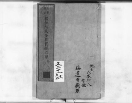 0885 楞伽阿跋多罗宝经心印2 0405165142 1.jpg