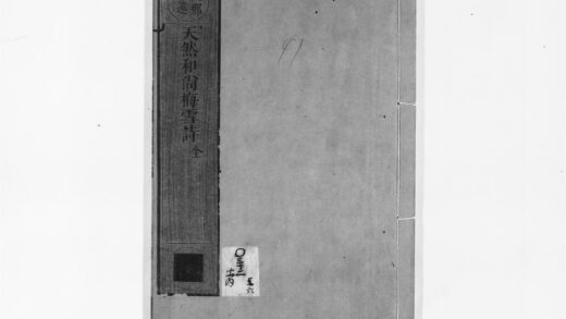 0893 天然和尚梅雪诗 0405165225 1.jpg