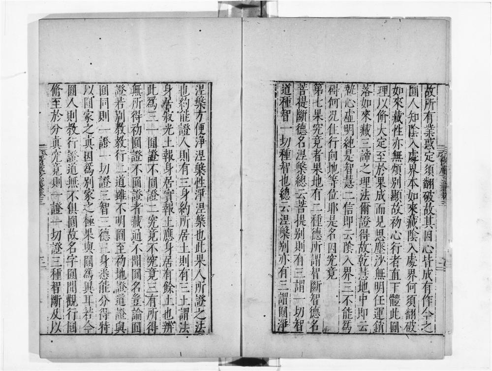 _楞严玄义__