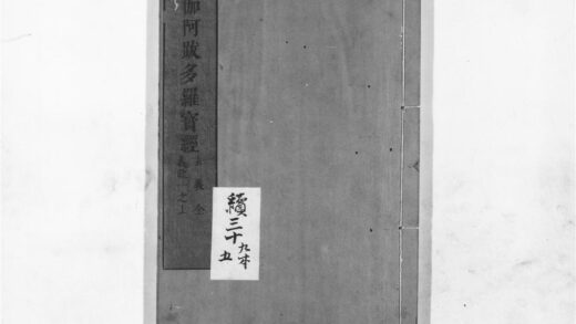 1238 楞伽阿跋多罗宝经 0405171602 1.jpg