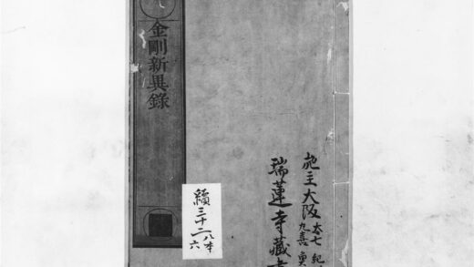 1256 金刚新异录 0405171628 1.jpg