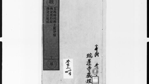1866 文殊师利佛土严净经 0405172916 1.jpg