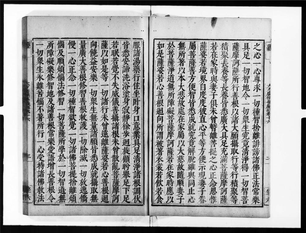 _大方广佛华严经[]__