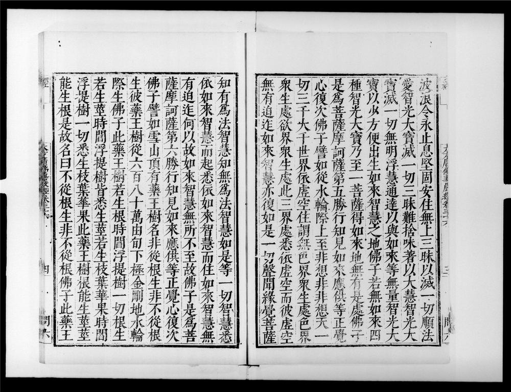 _大方广佛华严经[]__