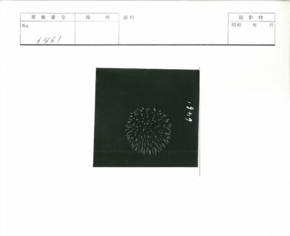 1949白色圆形标志图.jpg
