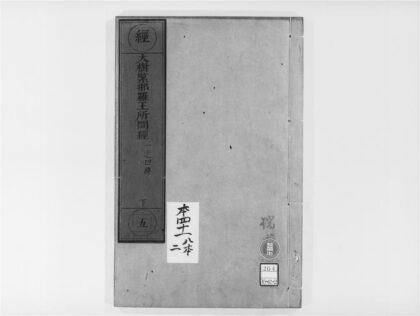 1999 大树紧那罗王所问经 0405173148 1.jpg