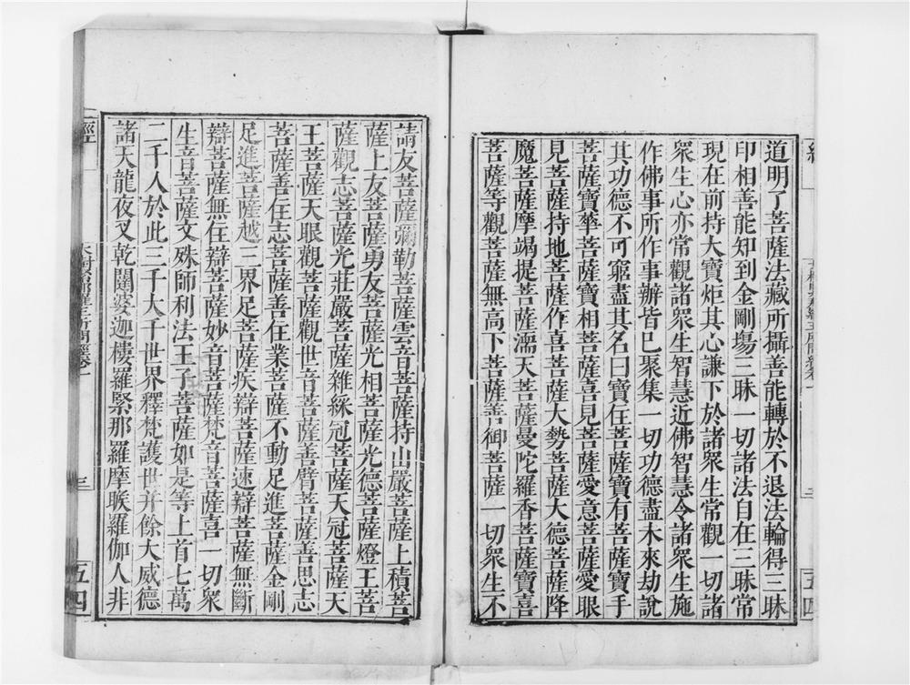 _大树紧那罗王所问经__