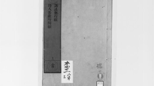2000 诸法无行经 0405173149 1.jpg