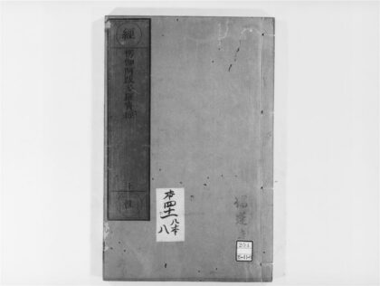 2005 楞伽阿跋多罗宝经 0405173157 1.jpg