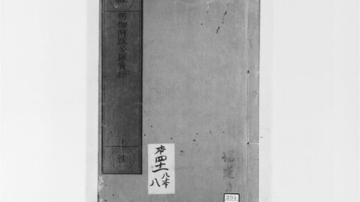 2005 楞伽阿跋多罗宝经 0405173157 1.jpg