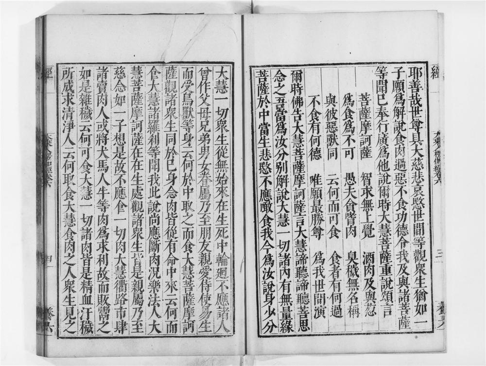 _大乘入楞伽经[]__