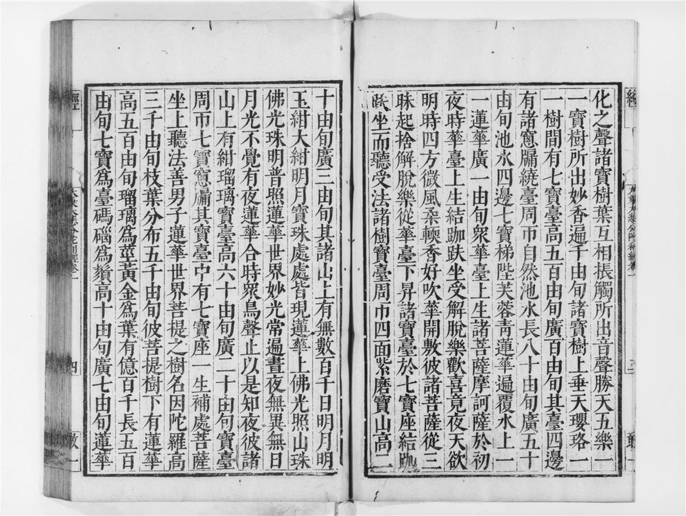_大乘大悲分陀利经[]__