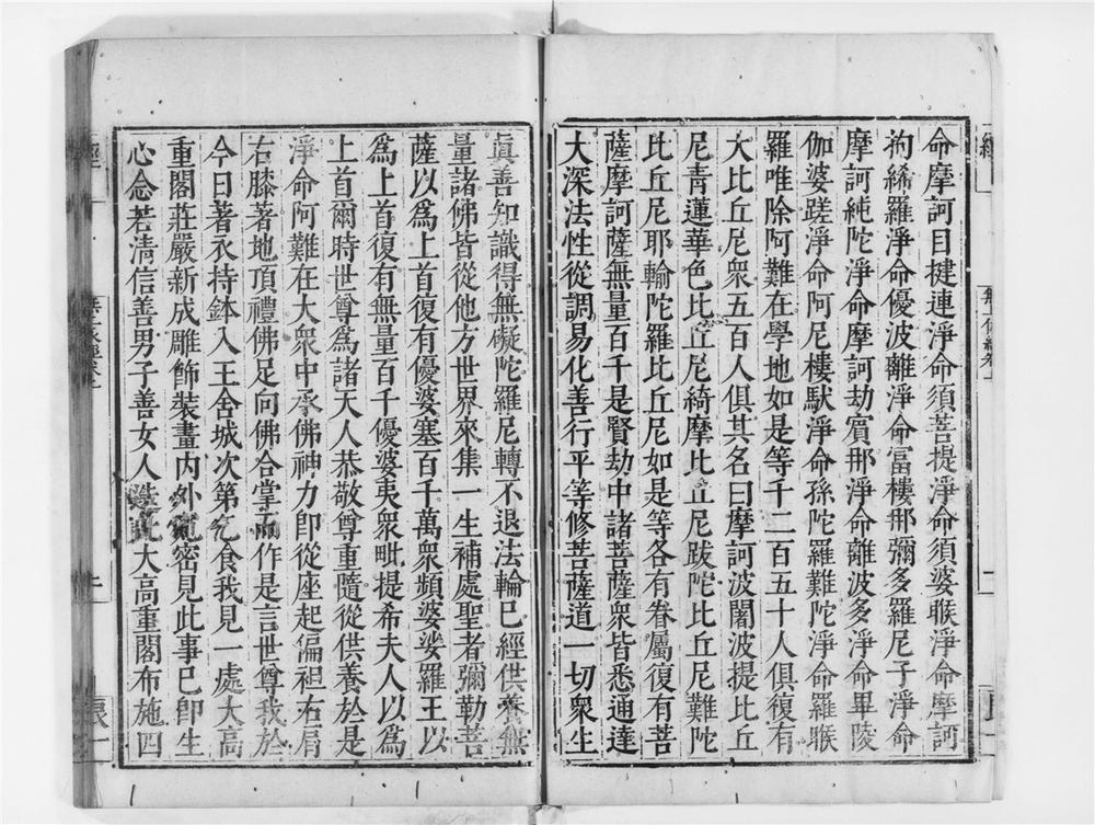 _无上依经__