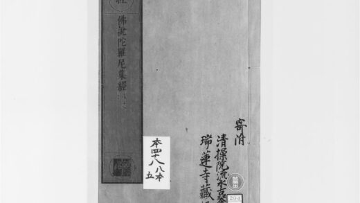 2050 佛说陀罗尼集经3 0405173310 1.jpg