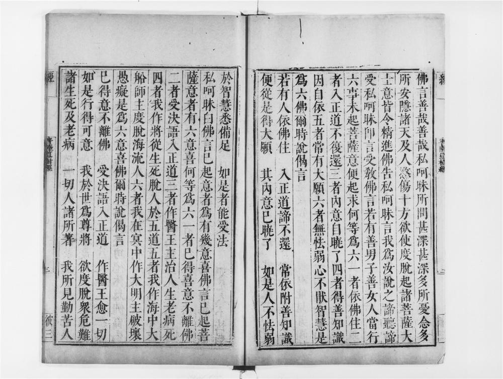_菩萨道树经__