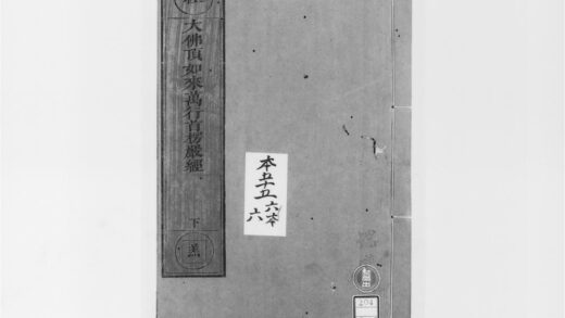2101 大佛顶如来密因修证了义诸菩萨万行首楞严经2 0405173429 1.jpg
