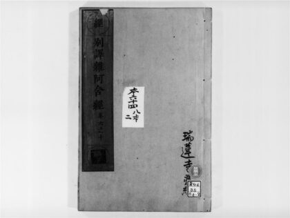 2154 别译杂阿含经2 0405173556 1.jpg