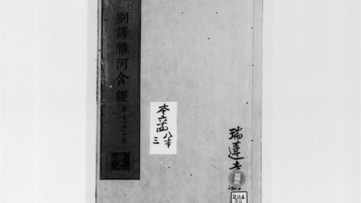 2155 别译杂阿含经3 0405173557 1.jpg