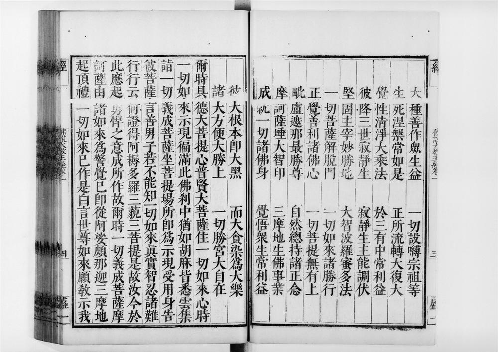 _佛说一切如来真实摄大乘现证三昧大教王经[]__