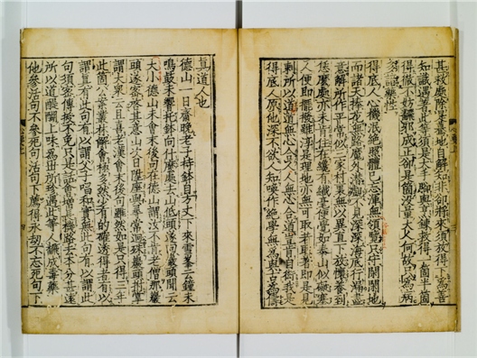 _佛果圜悟真觉禅师心要卷[]__