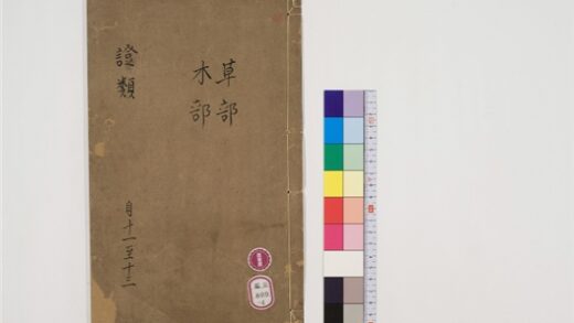 2515 重修政和经史证类备用本草30卷4 0405174404 1.jpg