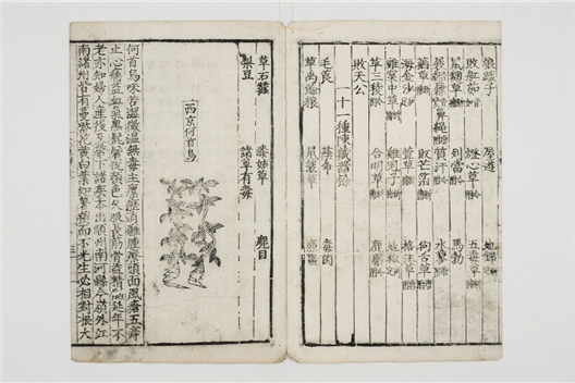 _重修政和经史证类备用本草卷[]__