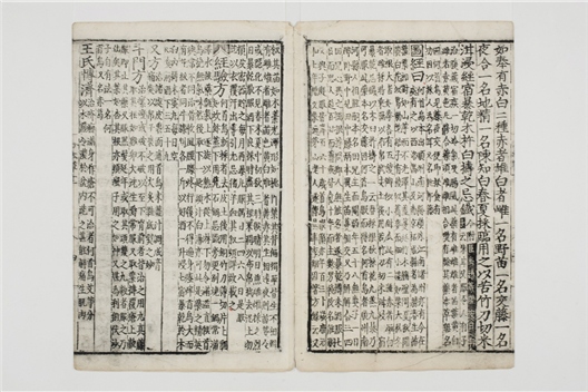 _重修政和经史证类备用本草卷[]__