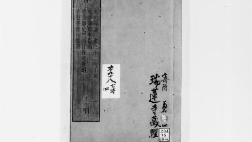 2593 毘尼母论2 0405174602 1.jpg