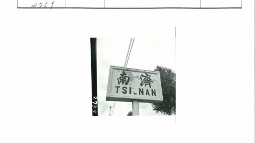 Tsi nan黑白风景照树木电线.jpg
