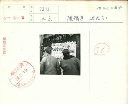 三人赏花架前花卉.jpg